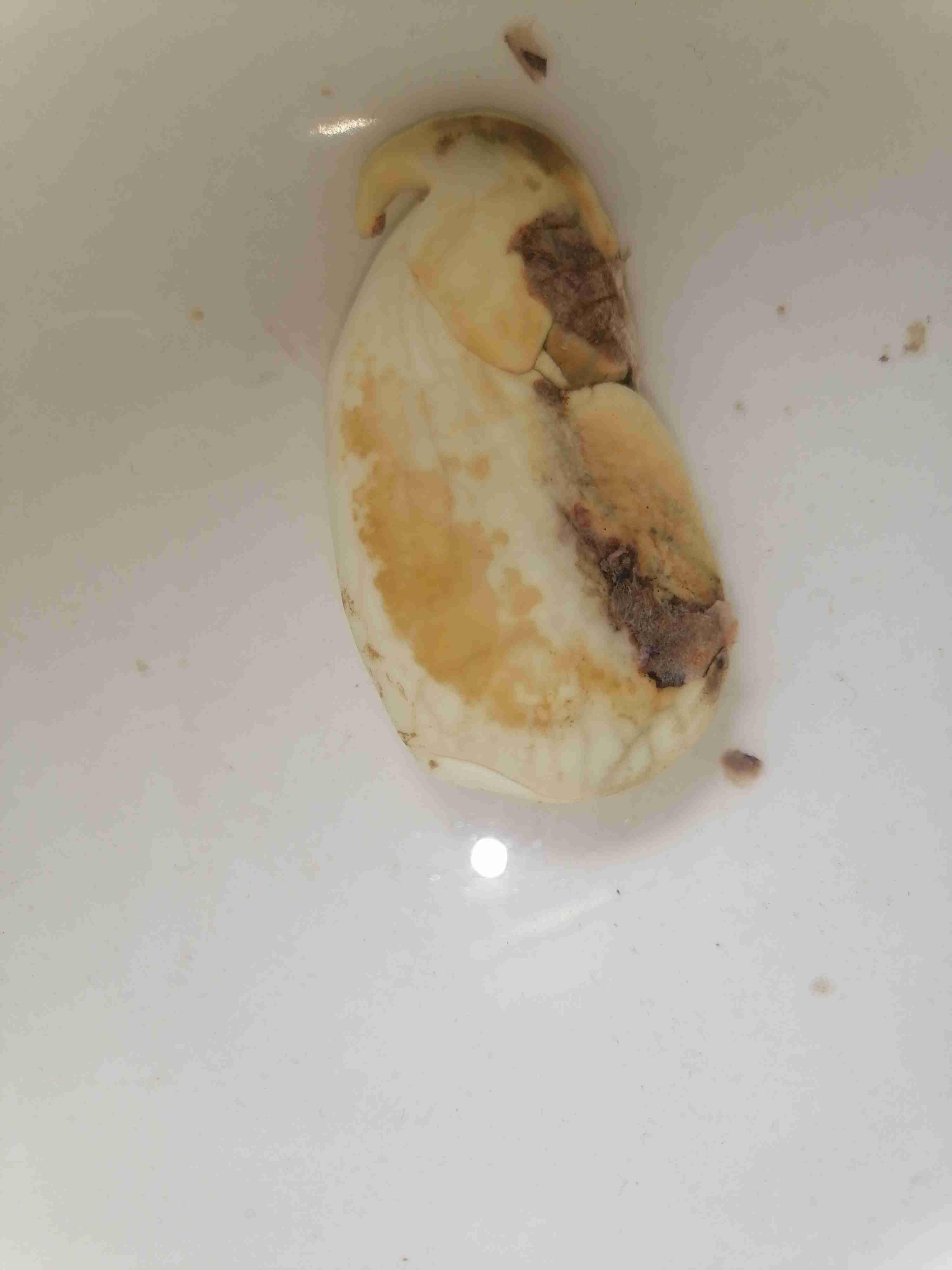 最新芒果籽，心灵平静之旅的探险启程