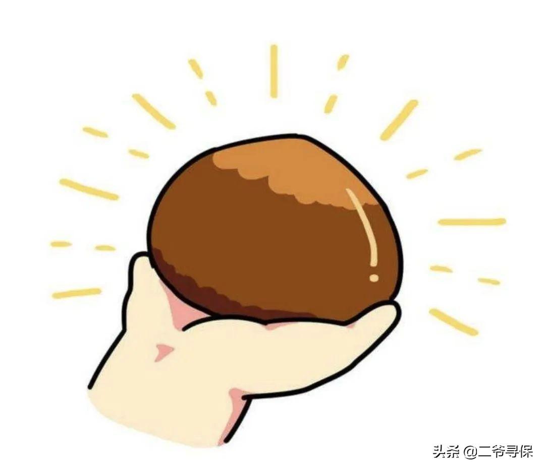 肺炎最新例子,肺炎最新例子，智能呼吸监测仪的高科技之旅