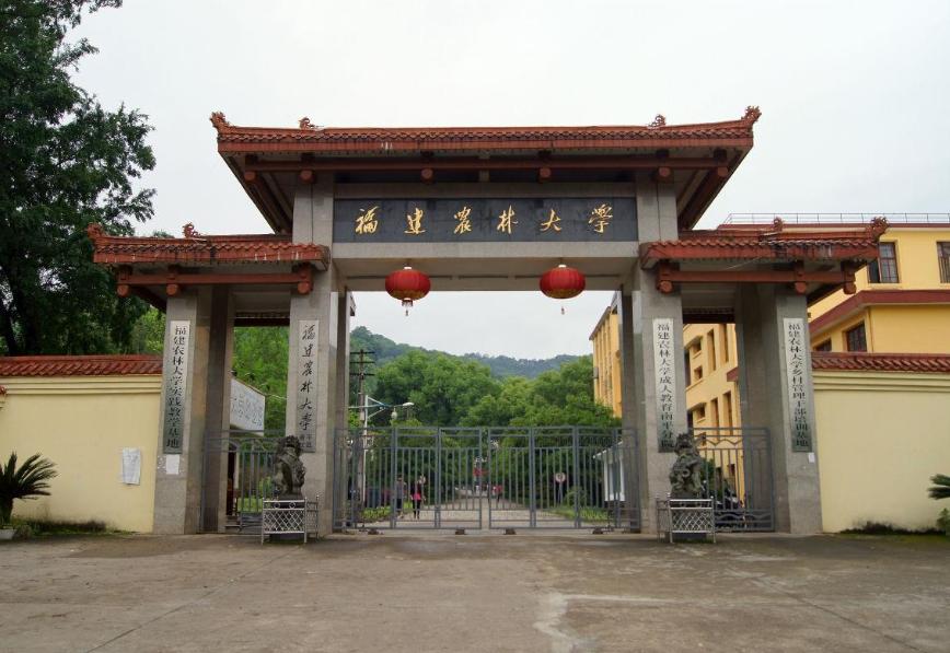 福建最新惊喜，小巷深处的独特风味