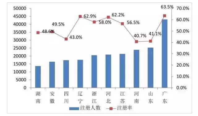 全国最新数据揭示的温馨日常观察