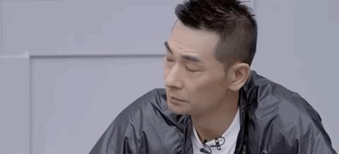 最新猫咪歌曲，与猫共赴自然美景的心灵之旅，寻找内心平静
