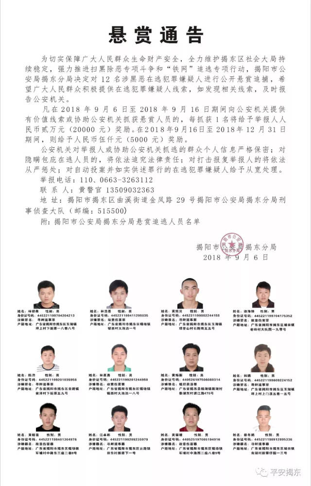 诏安最新通缉任务指南，通缉任务的完成技巧与技能提升方法