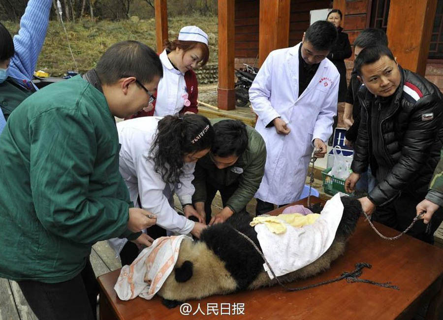 揭秘最新解剖成果，探索背景、进展与影响之旅