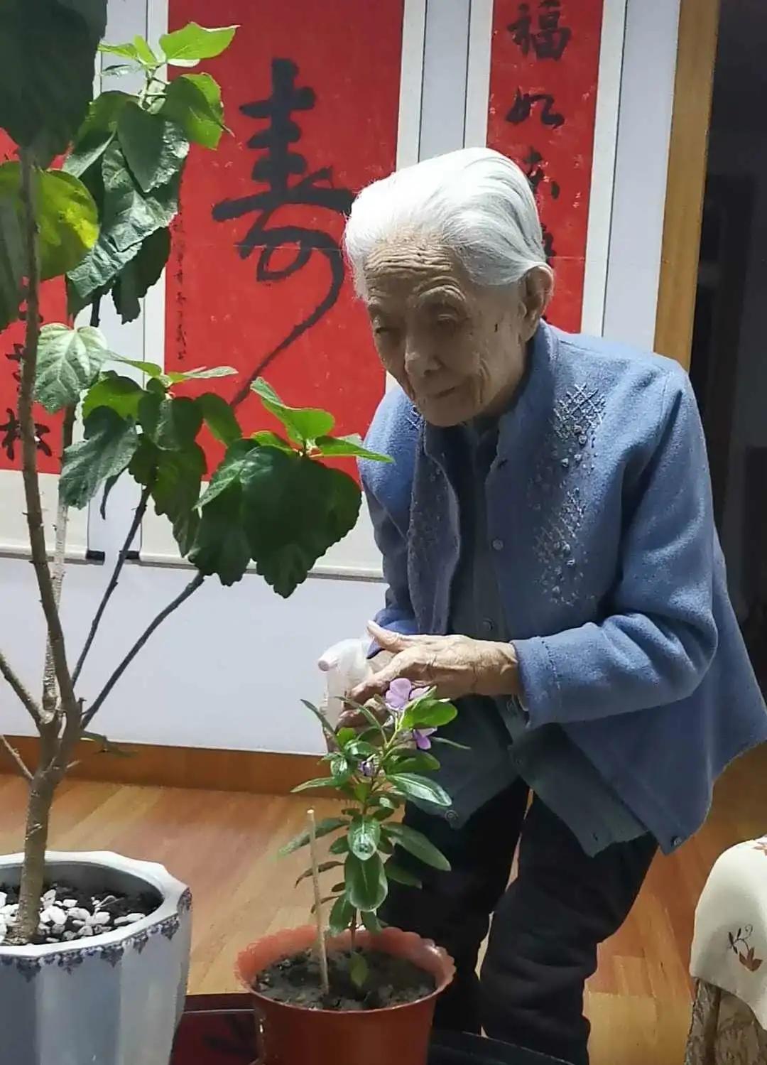 和睦湿地最新探索，自然美景之旅启程