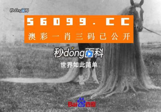 澳门一肖一码一必中一肖同舟前进,时尚法则实现_钻石版39.953