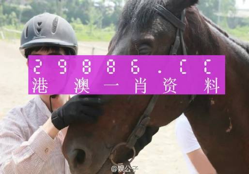澳门一肖一码一必中一肖同舟前进,最新数据挖解释明_商务版97.810