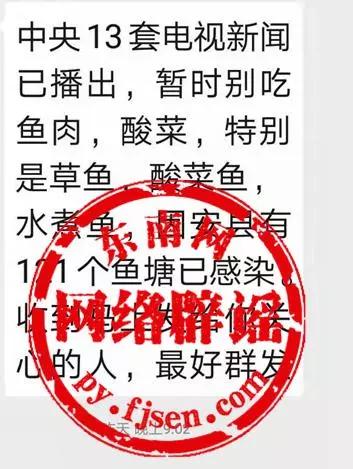 草鱼美味秘密揭秘，小巷中的美食传奇