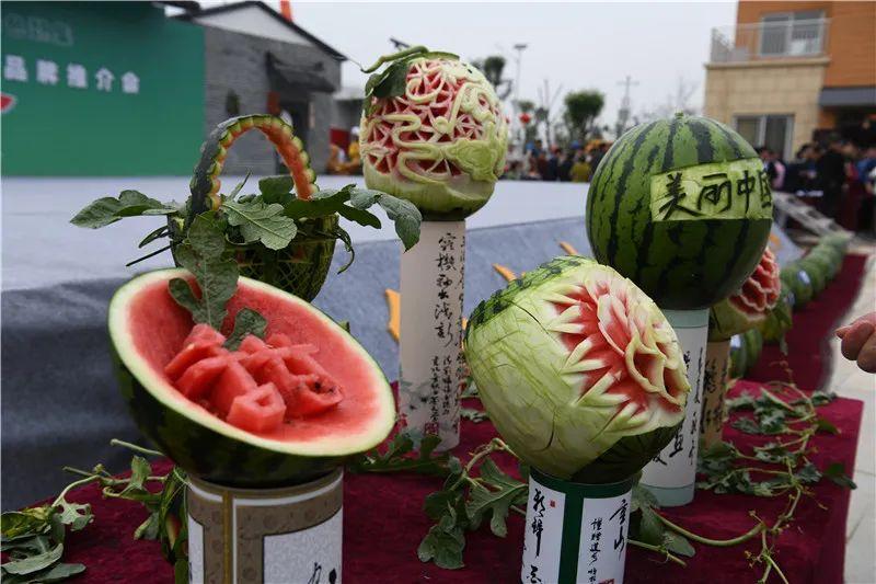 睢宁西瓜最新价格解析与论述