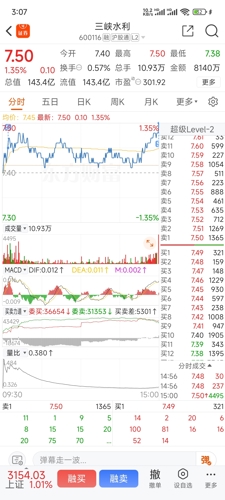 三峡水电股票投资指南，从入门到精通的步骤解析