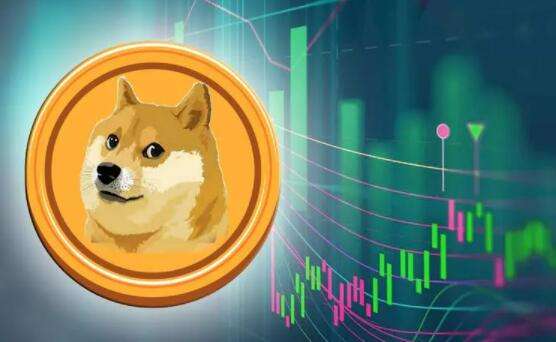 狗狗币实时行情揭秘及分析🐶🚀