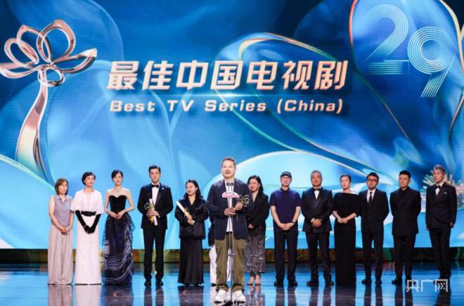 中国电视剧奖项，背景、历程与深远影响