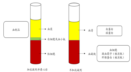 血液价格揭秘