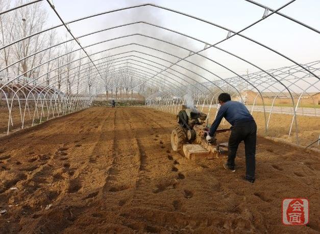 中牟花生最新价格行情，科技引领市场新篇章