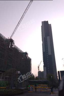 洛阳建业桂园最新房价,洛阳建业桂园最新房价背后的温馨故事