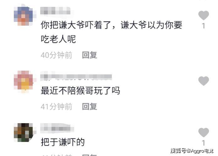 聂小雨的新日常，爱与陪伴的温馨时光