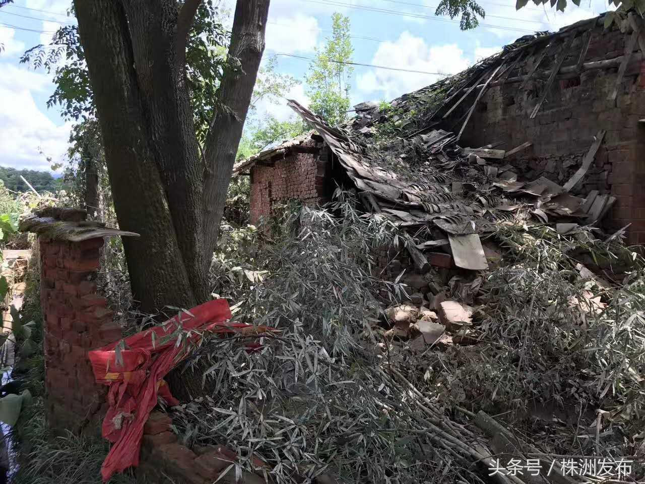 宁乡洪水最新动态,宁乡洪水最新动态，在变化中成长，用学习铸就自信与力量