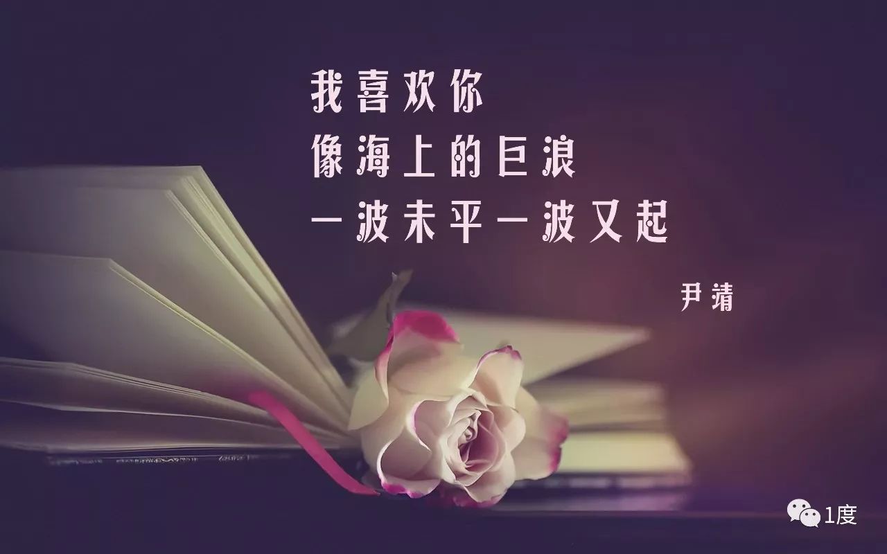 最美四行情书,最美四行情书——科技新品惊艳登场