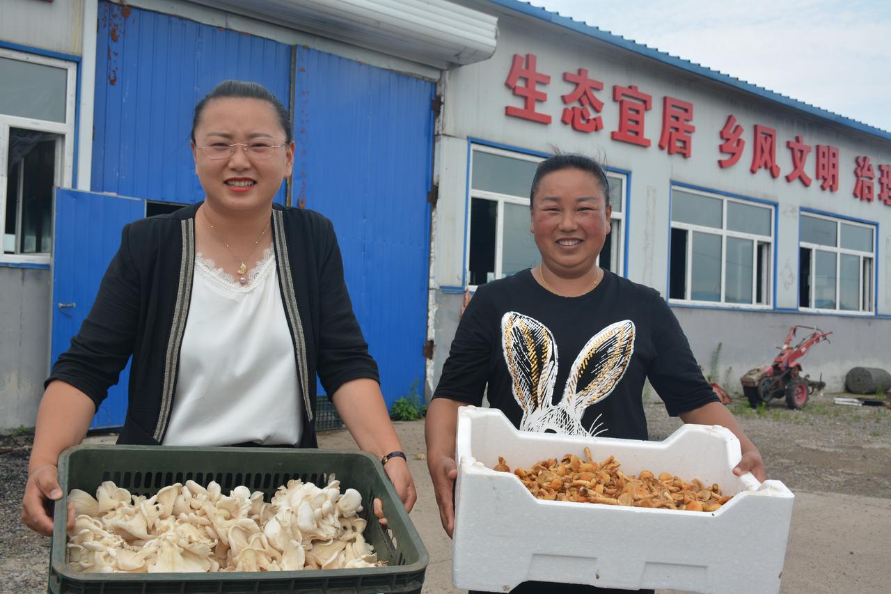 克东新鲜资讯，引领科技潮流，提升生活品质