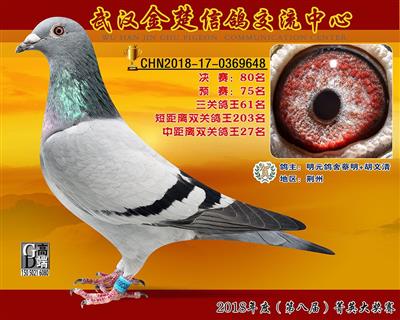 北京长明公棚最新消息更新