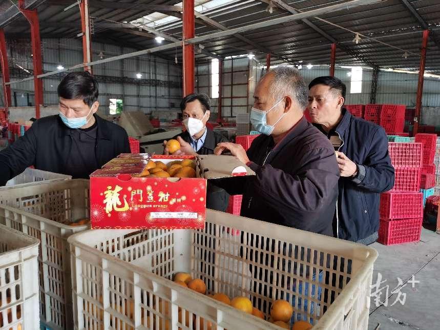 南溪人才网招聘信息详解，求职与招聘全方位指南