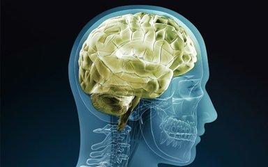 最新癫痫病治疗方法，自信与成长之旅的启程
