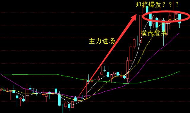 东湖高新股票最新动态解析，全面解读最新消息与观点分析
