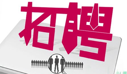 望江最新招聘揭秘，小巷中的隐藏宝藏等你来发掘！