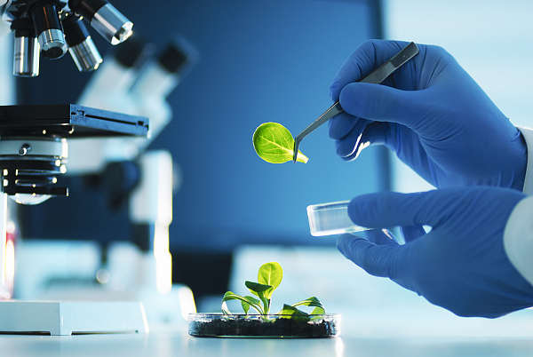 最新生物技术引领健康与生活革新革新🌟