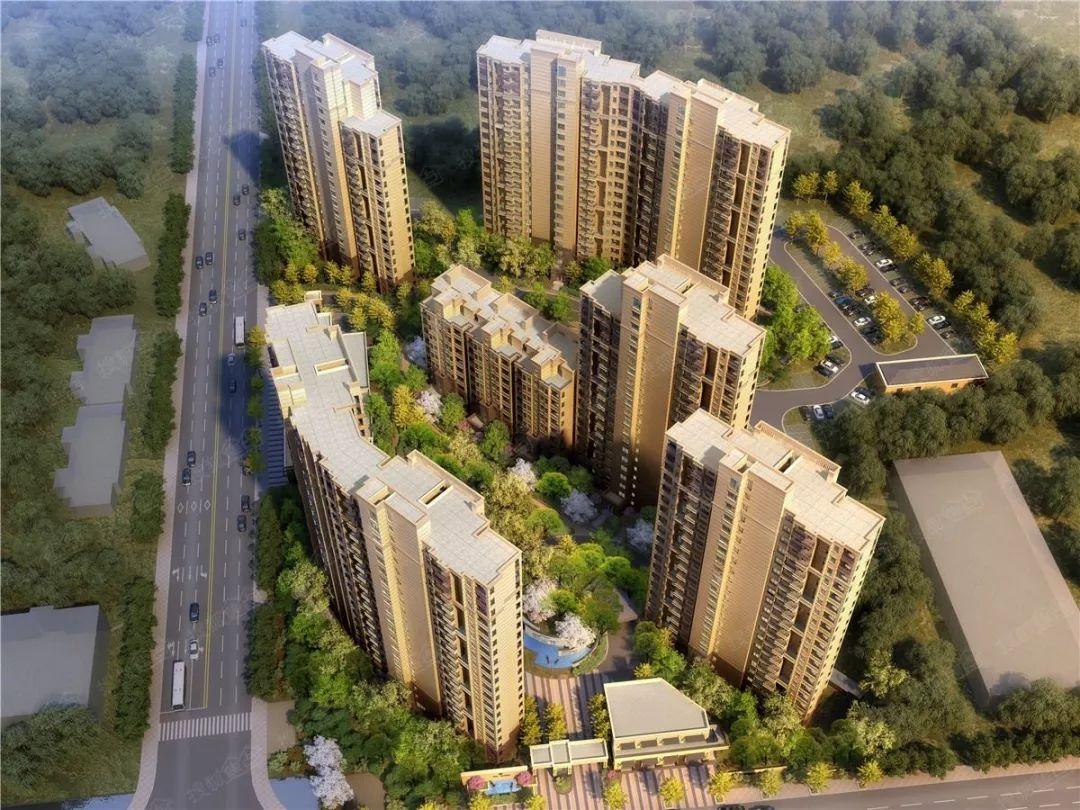 南部最新房价动态与时代背景下的楼市深度探析