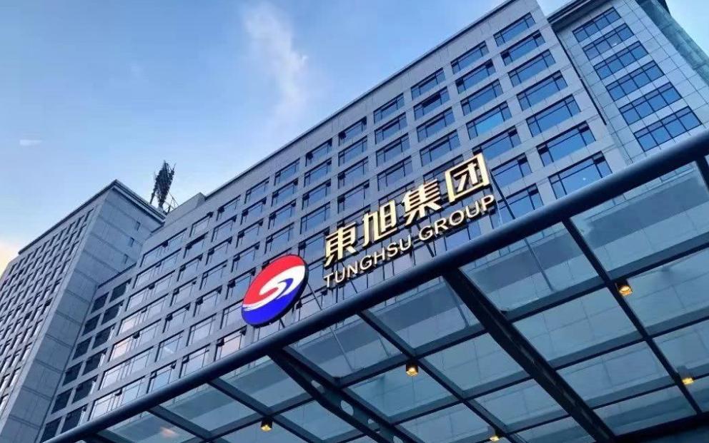 000413最新消息，一场充满欢笑与爱的日常故事揭秘