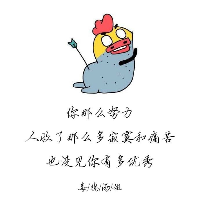 最新毒鸡汤语录搞笑，旅行探索与内心平静的奇妙交融