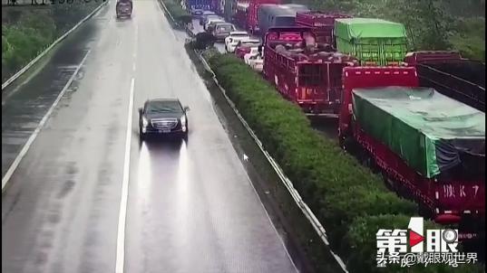 邻水最新动态，自然美景探索之旅的心灵宁静之旅