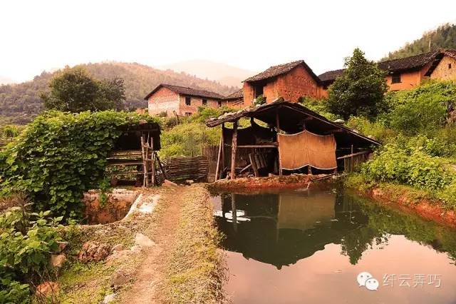 宁都最新州人网观点论述汇总